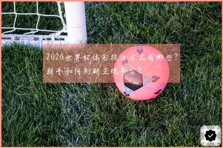 2026世界杯体彩投注方式有哪些？新手如何判断正规平台？