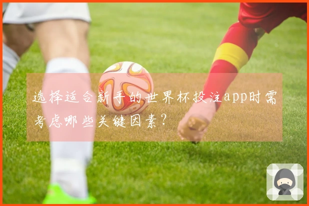 选择适合新手的世界杯投注app时需考虑哪些关键因素？