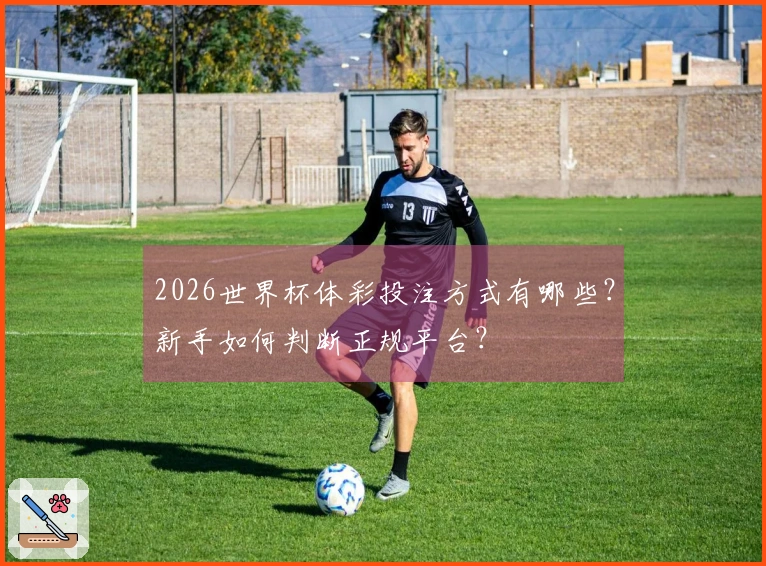 2026世界杯体彩投注方式有哪些？新手如何判断正规平台？