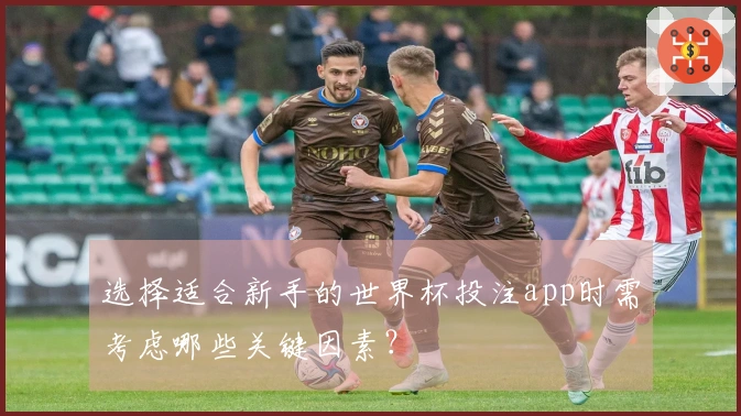 选择适合新手的世界杯投注app时需考虑哪些关键因素？
