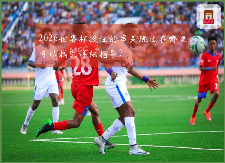 2026世界杯投注的串关玩法在哪里可以找到详细指导？