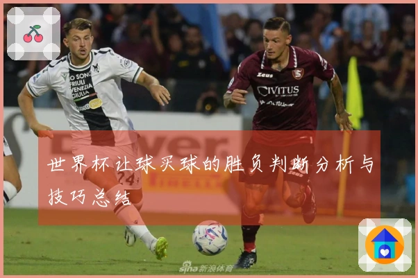 世界杯让球买球的胜负判断分析与技巧总结